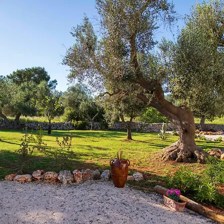 Bed & Breakfast Biancolivo 3*
